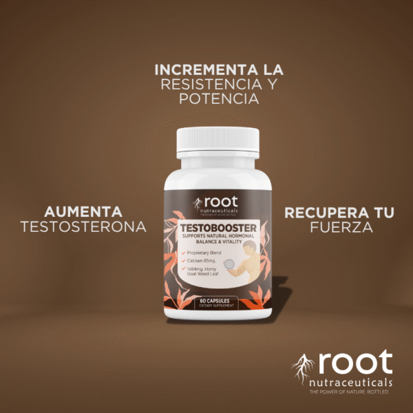 root beneficios