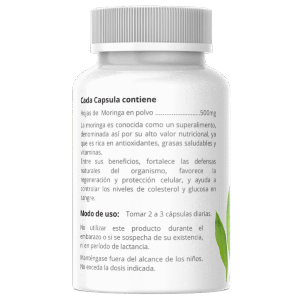 moringa facts