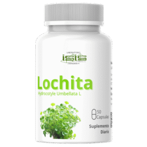 lochita